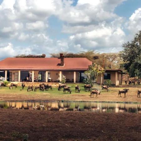 Wildlife Residence Tuvaila Dış mekan fotoğraf