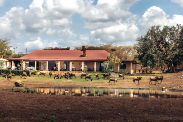 Wildlife Residence Tuvaila Dış mekan fotoğraf